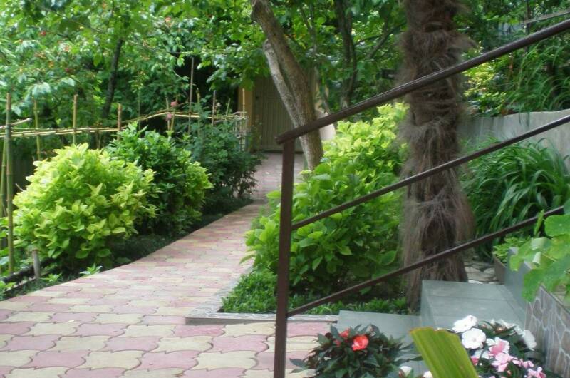 Изображение Изображение гостиницы &quot;Частный дом «Бамбуковая роща»&quot; #1 #1