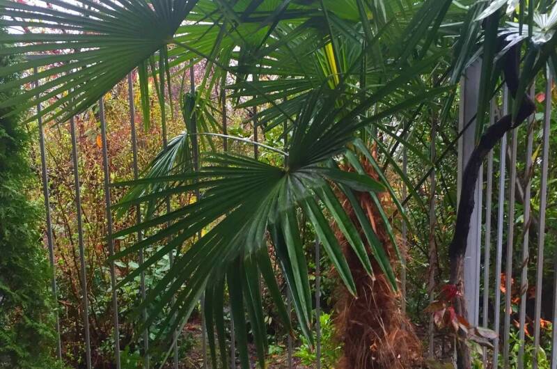 Изображение Изображение гостиницы "Гостевой дом «Морской Бриз»" #4 #4