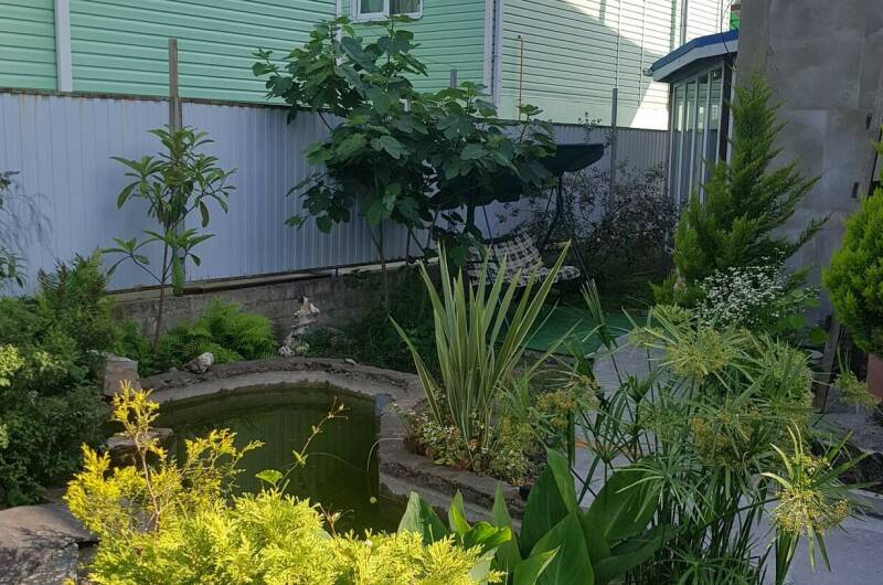 Изображение Изображение гостиницы "Гостевой дом «Олеся»" #7 #7