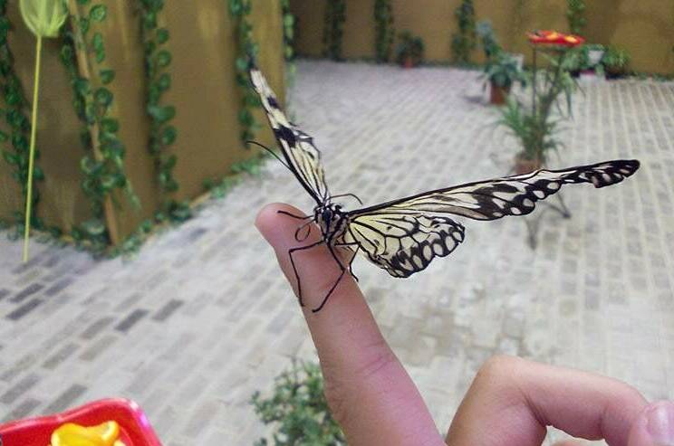 Изображение Изображение гостиницы "Гостевой дом «На двоих»" #5 #5