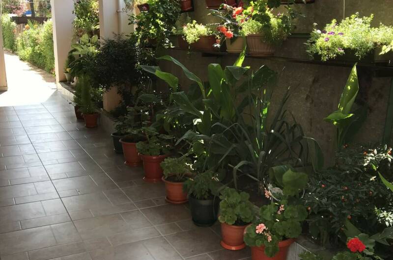 Изображение Изображение отеля / гостиницы "Гостевой дом «Михаил»" #10 #8