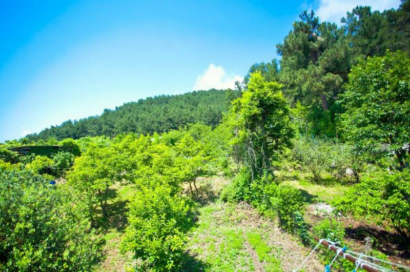 Изображение Изображение гостиницы "Гостевой дом «Меридиан»" #4 #4