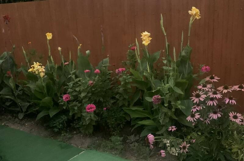 Изображение Изображение гостиницы &quot;Частный сектор «Ласточка»&quot; #2 #2