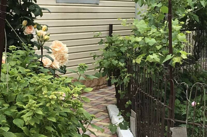 Изображение Изображение гостиницы &quot;Частный сектор «Ласточка»&quot; #3 #3