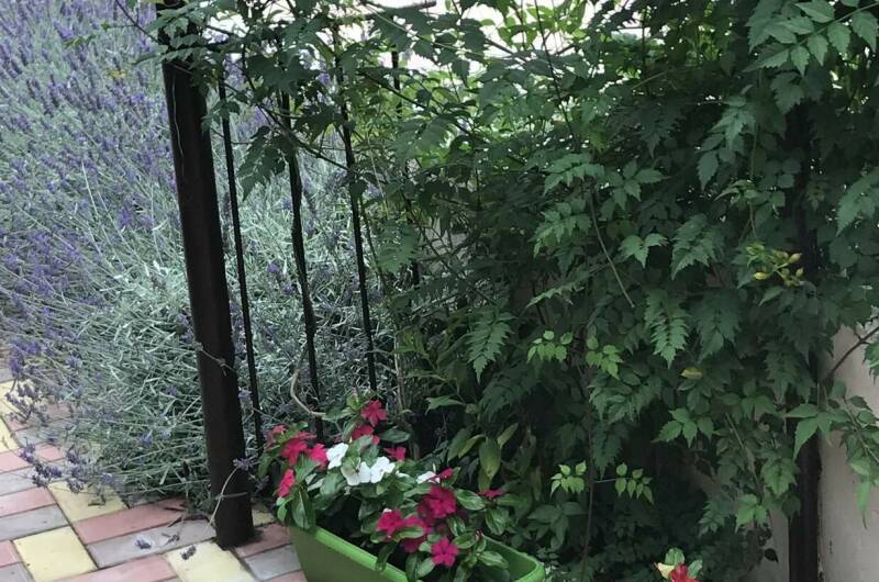 Изображение Изображение гостиницы &quot;Частный сектор «Ласточка»&quot; #8 #8