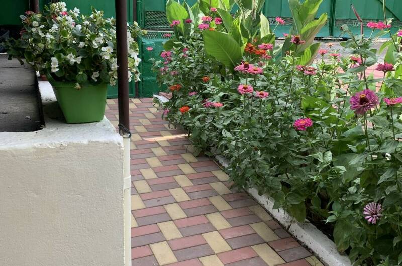 Изображение Изображение отеля / гостиницы "Частный сектор «Ласточка»" #10 #8