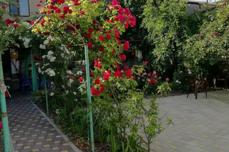 Изображение Изображение отеля / гостиницы "Частный сектор «На Северной 5»" #11 #9