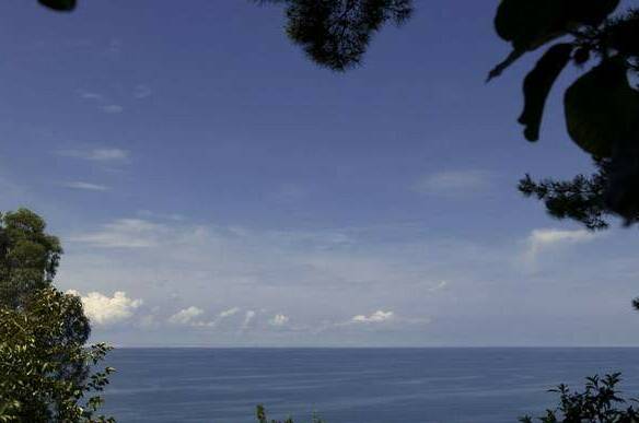 Изображение Изображение отеля / гостиницы "База отдыха «Сосновый бор»" #11 #9