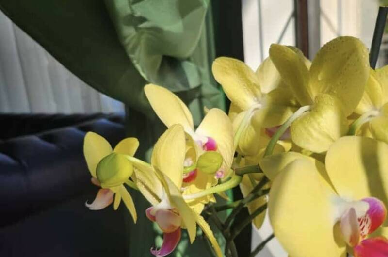 Изображение Изображение отеля / гостиницы "Гостевой дом «Ланета»" #11 #9