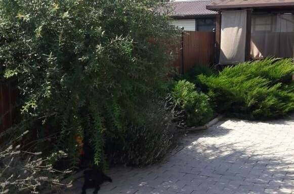 Изображение Изображение квартиры &quot;1-но комнатные апартаменты на переулке Светлый&quot; #4 #4