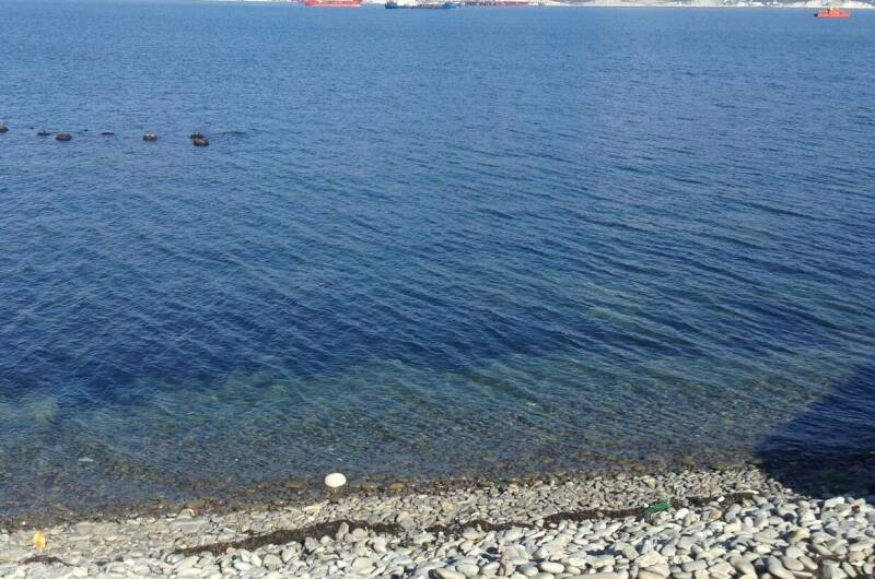 Изображение Изображение квартиры &quot;Однокомнатная квартира на первой береговой линии&quot; #4 #4