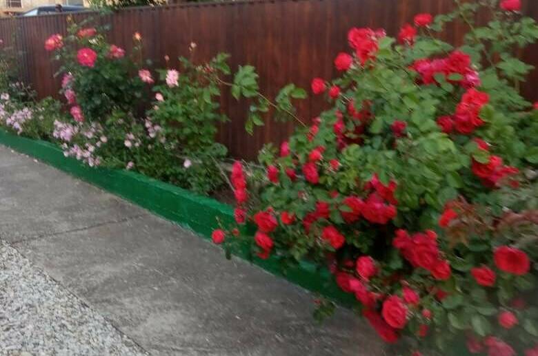 Изображение Изображение гостиницы &quot;Частный сектор на Новой&quot; #2 #2