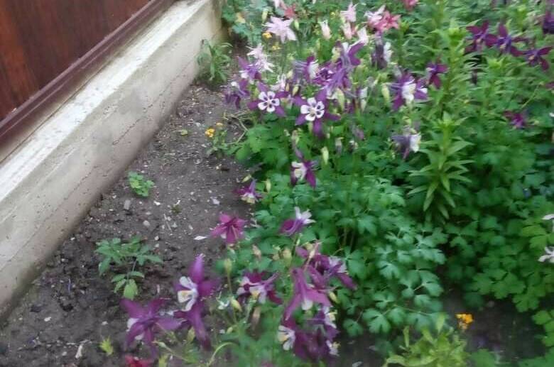 Изображение Изображение гостиницы &quot;Частный сектор на Новой&quot; #3 #3