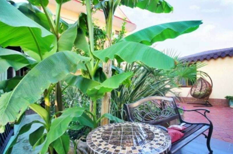 Изображение Изображение отеля / гостиницы "Гостевой дом «У Любаши»" #10 #8