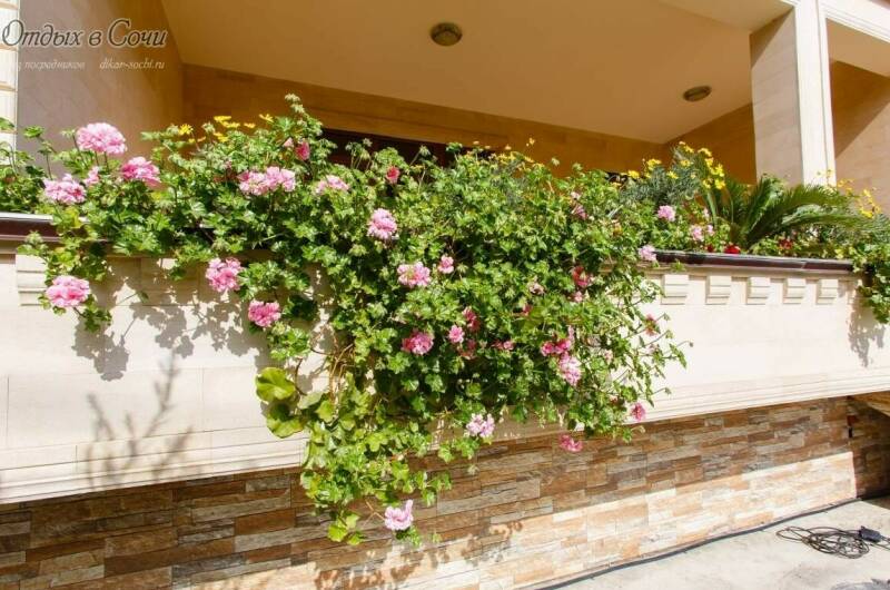 Изображение Изображение гостиницы "Отель «Джульетта»" #8 #8