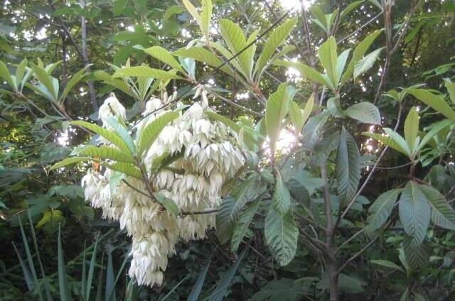 Изображение Изображение гостиницы "Гостевой дом у моря «Есения»" #4 #4