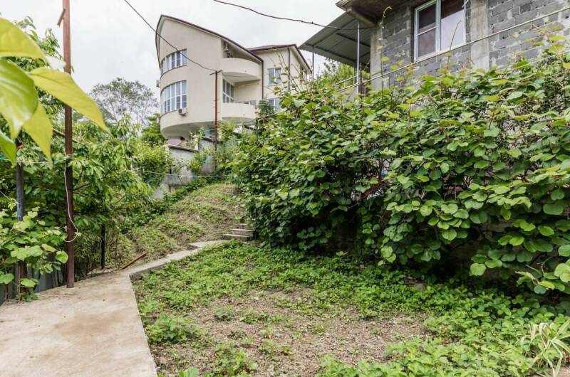 Изображение Изображение гостиницы &quot;Гостевой дом «Дагомыс»&quot; #4 #4