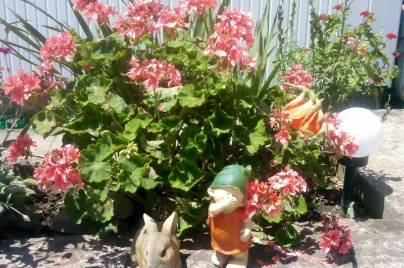 Изображение Изображение гостиницы "Гостевой дом «У Елены»" #7 #7