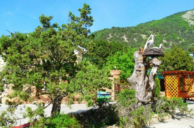 Изображение Изображение отеля / гостиницы "База отдыха «Морской залив»" #11 #9