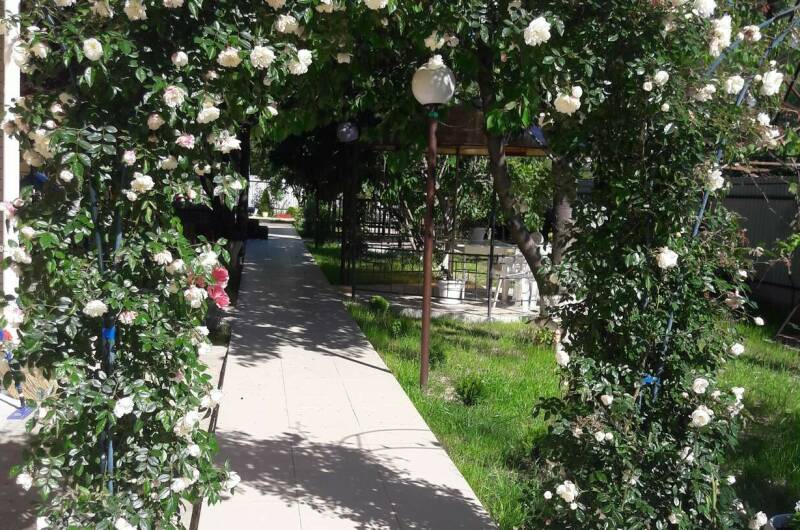 Изображение Изображение гостиницы &quot;Отель «Солнечный»&quot; #2 #2