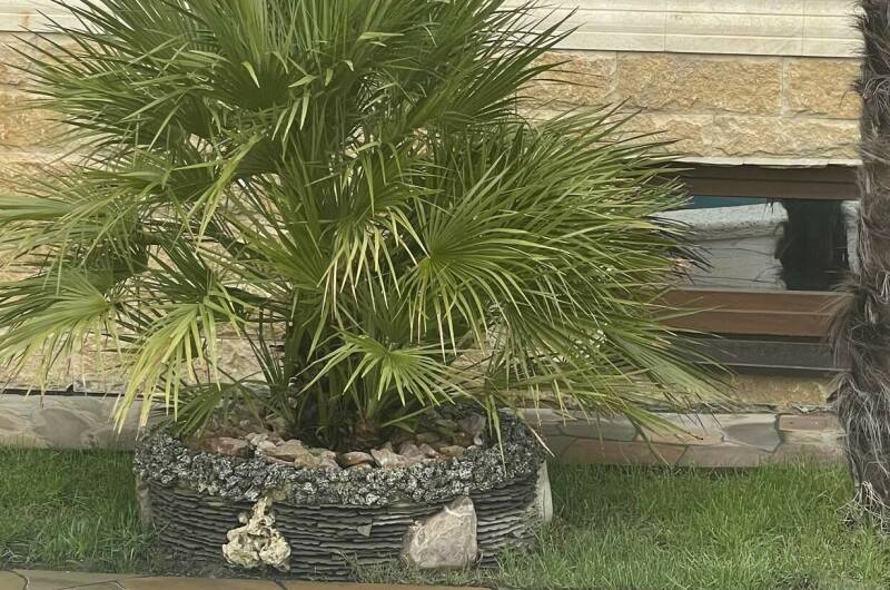 Изображение Изображение гостиницы &quot;Гостиница «Сильвер» (бывший «Гранд-Отель»)&quot; #2 #2