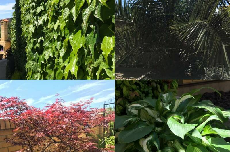 Изображение Изображение гостиницы &quot;Гостевой дом «Антаис»&quot; #8 #8