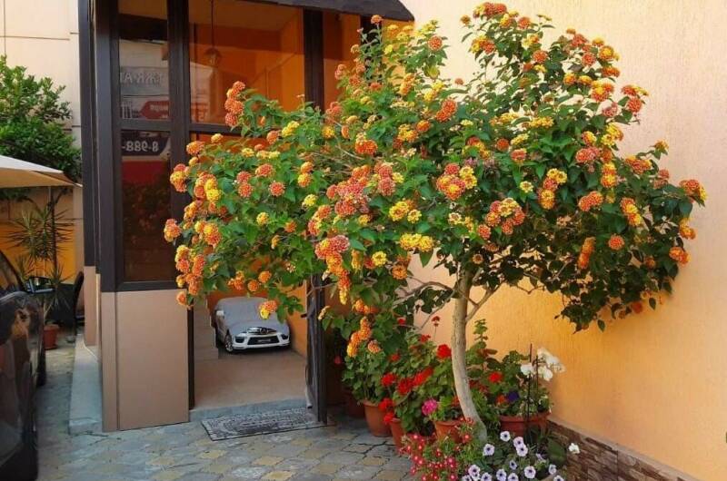 Изображение Изображение гостиницы "Гостевой дом «В гостях у Минаса»" #2 #2