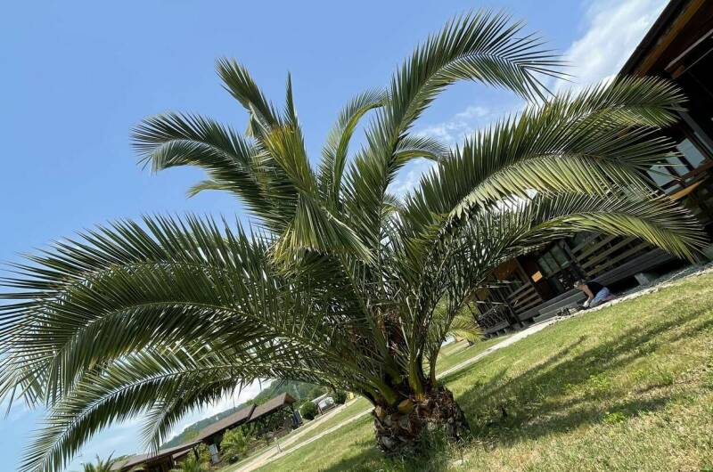 Изображение Изображение отеля / гостиницы "Отель «Тихая Лагуна»" #10 #8