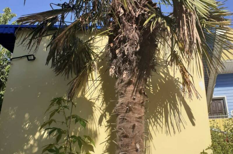 Изображение Изображение гостиницы "Частный дом «Нейва»" #4 #4