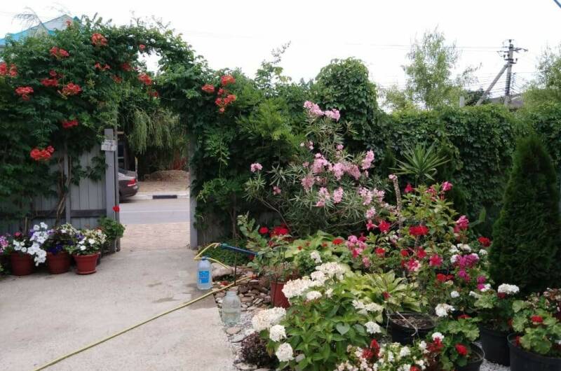 Изображение Изображение гостиницы &quot;Гостевой дом «Орлинка»&quot; #2 #2