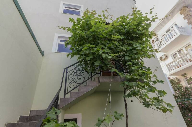 Изображение Изображение гостиницы &quot;Мини-гостиница «Фазелис»&quot; #5 #5