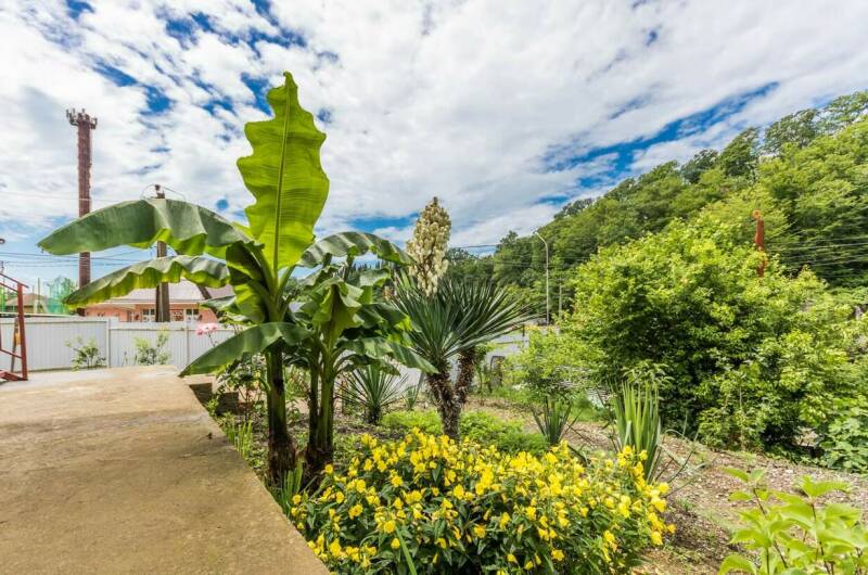 Изображение Изображение гостиницы "Частный дом «Весна»" #3 #3