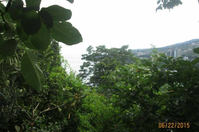 Изображение Изображение квартиры "Дом под ключ «Лидия»" #2 #2