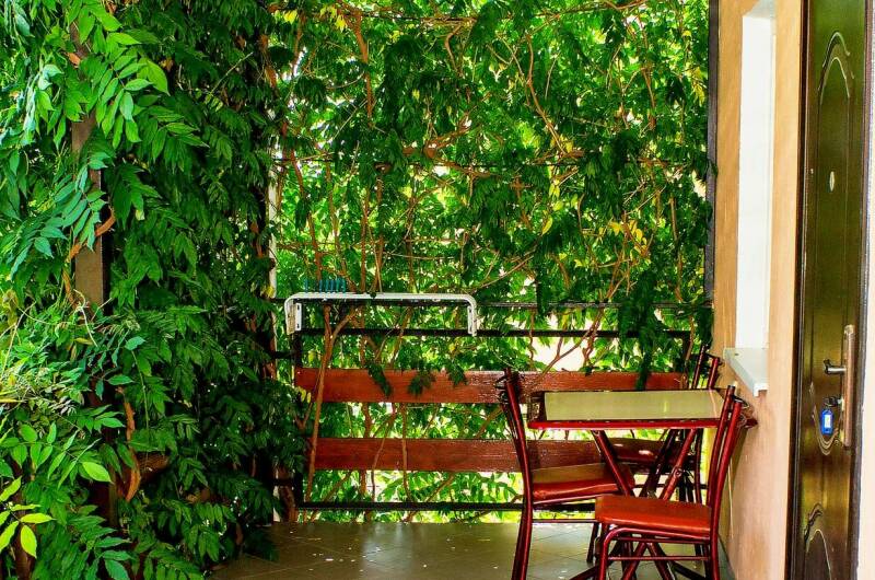 Изображение Изображение гостиницы &quot;Гостевой дом «Лето в Коктебеле»&quot; #4 #4