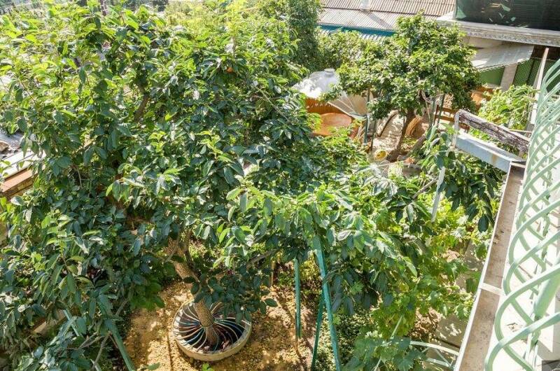 Изображение Изображение гостиницы &quot;Гостевой дом «У Афанасия»&quot; #7 #7