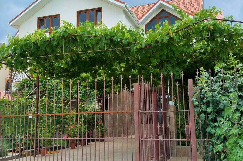 Изображение Изображение гостиницы &quot;Частное домовладение «Верт»&quot; #2 #2