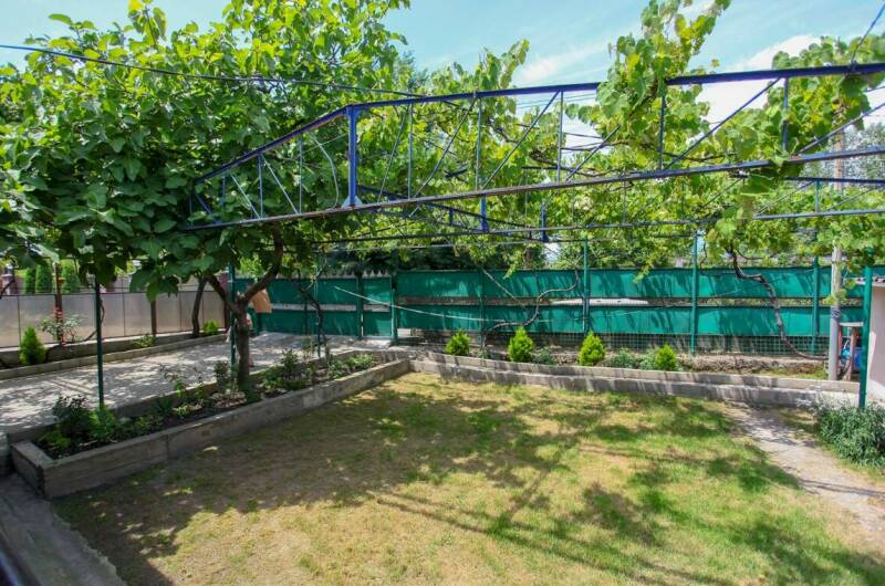 Изображение Изображение гостиницы &quot;Гостевой дом «Дадука»&quot; #1 #1