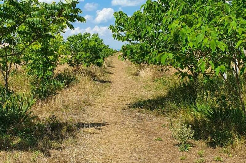 Изображение Изображение гостиницы &quot;Гостевой дом «Анастасия»&quot; #5 #5