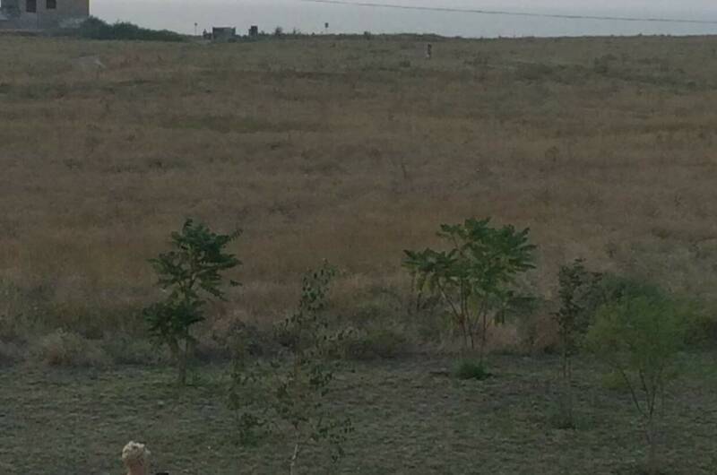 Изображение Изображение отеля / гостиницы "Гостевой дом «Анастасия»" #11 #9