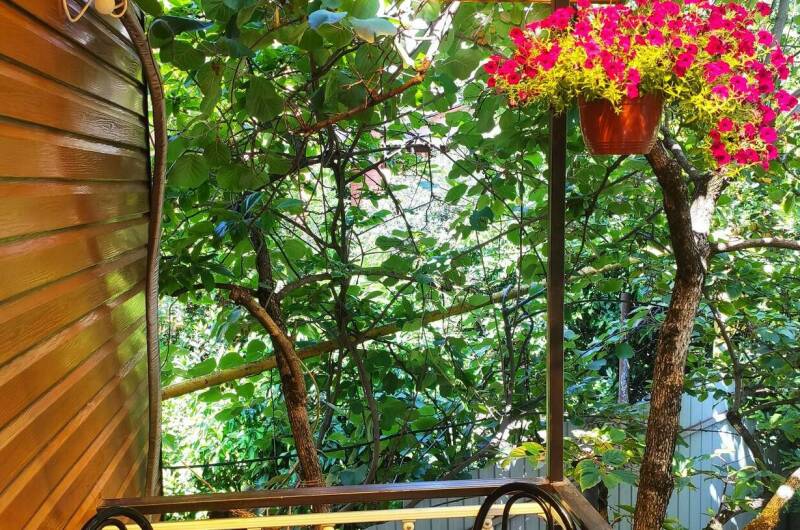 Изображение Изображение гостиницы &quot;Гостевой дом «Дом у моря»&quot; #5 #5