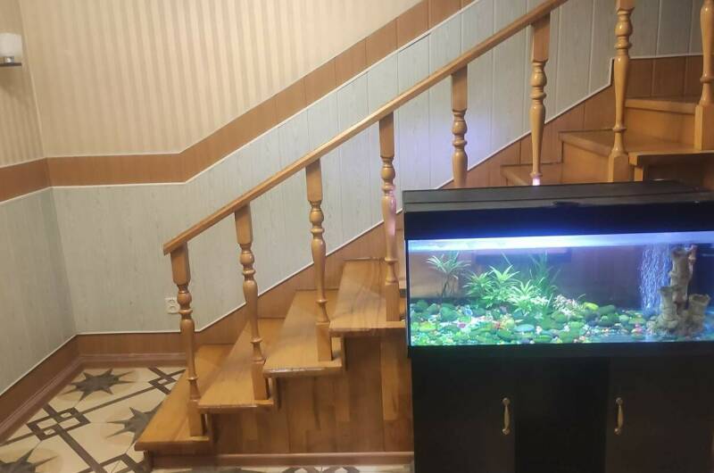 Изображение Изображение гостиницы &quot;Гостевой дом «Дом у моря»&quot; #7 #7