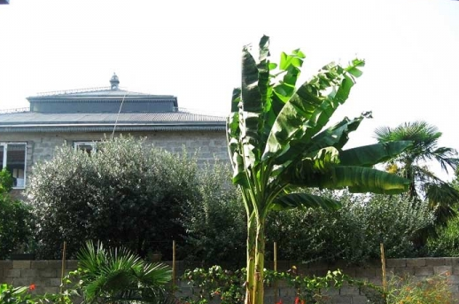 Изображение Изображение отеля / гостиницы "Гостевой дом «Элина»" #11 #9