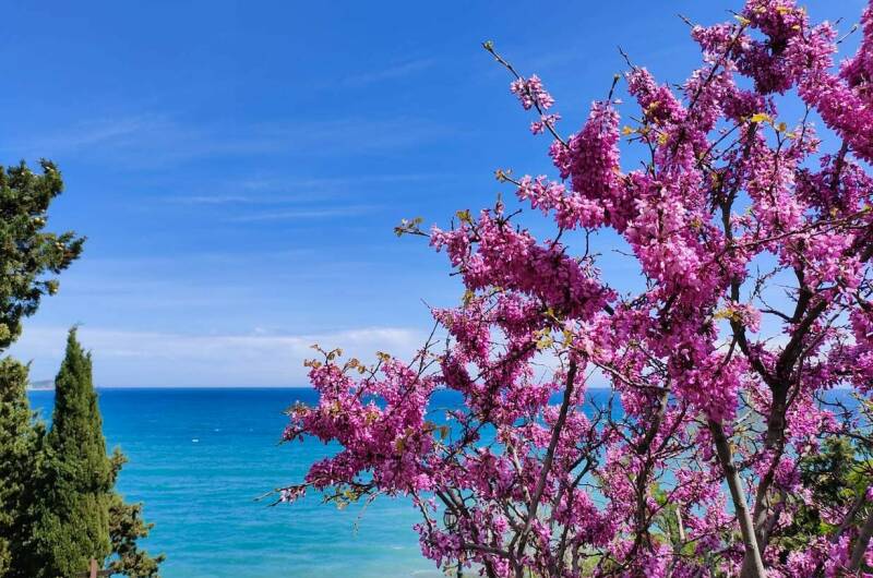 Изображение Изображение гостиницы &quot;Гостиничный комплекс «Зеленый Мыс»&quot; #4 #4