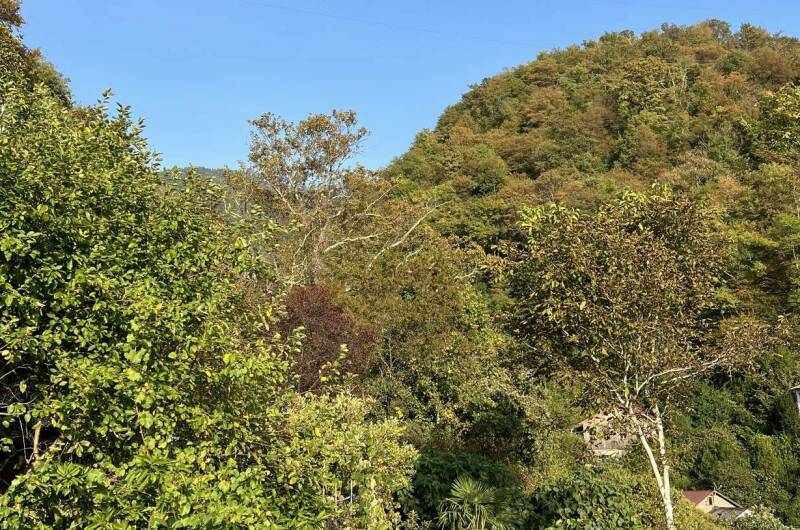 Изображение Изображение гостиницы &quot;Гостевой дом «Эмида»&quot; #2 #2