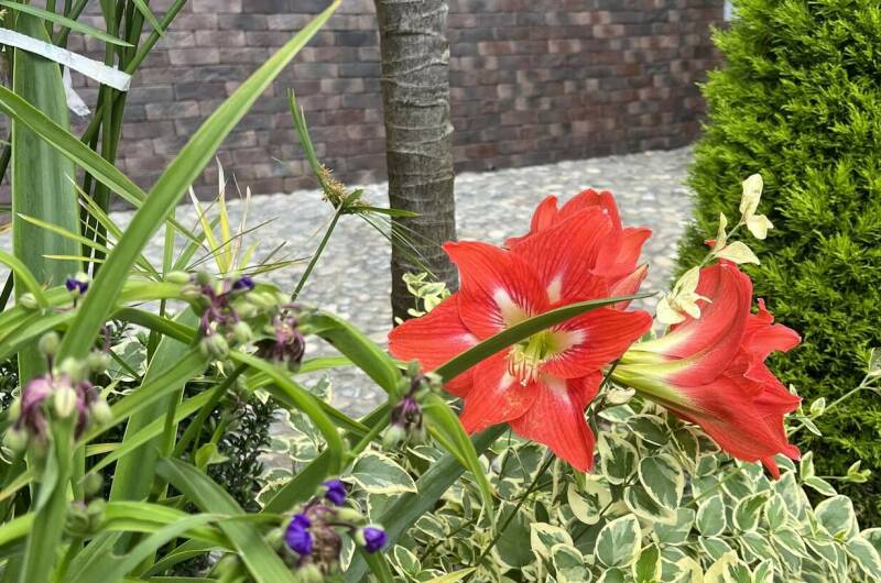 Изображение Изображение гостиницы &quot;Гостевой дом «Эмида»&quot; #3 #3