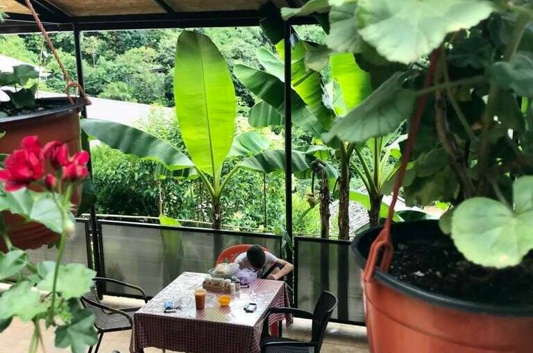 Изображение Изображение гостиницы &quot;Гостевой дом «Эмида»&quot; #8 #8