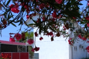 Изображение Изображение гостиницы &quot;Гостевой дом «У Руслана и Джульетты»&quot; #7 #7