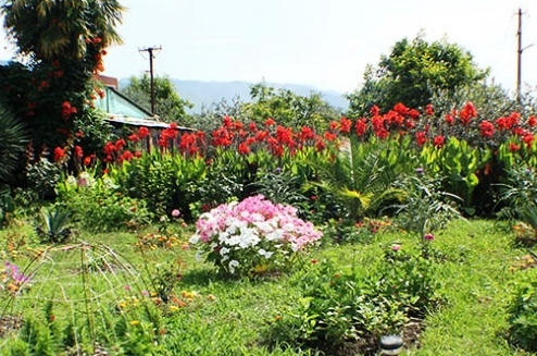 Изображение Изображение гостиницы &quot;Гостевой дом «У Руслана и Джульетты»&quot; #8 #8