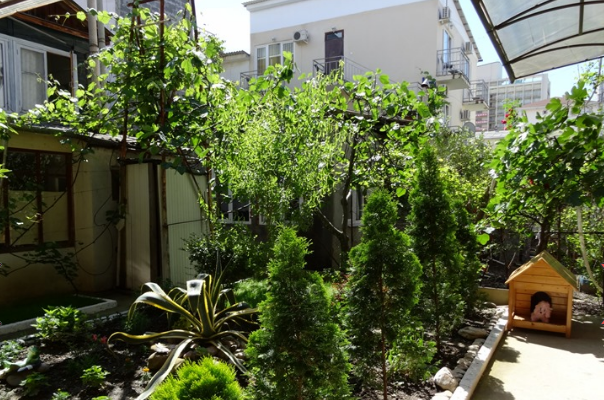 Изображение Изображение гостиницы "Гостевой дом «Сосновый»" #2 #2