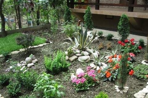 Изображение Изображение гостиницы "Гостевой дом «Сосновый»" #6 #6